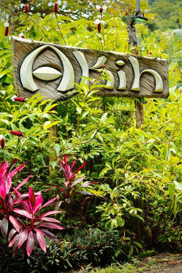 Playa Santa Teresa  Akih Pods Hostel מראה חיצוני תמונה